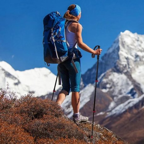 3.Палки треккинговые, карбон, ST10, красные, для ходьбы (2 шт.)