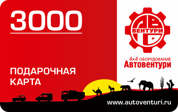 Карта подарочная 3000